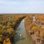 Golden_Desert_Poplars_Add_Vibrancy_to_Xinjiang_s_Autumn