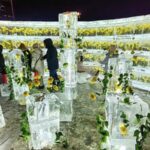 Golden_Roses_Encased_in_Ice_Illuminate_Harbin_s_Winter_Wonderland