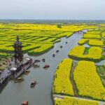 Golden Sea of Rapeseed Flowers Blooms in Xinghua's Qianduo Scenic Area