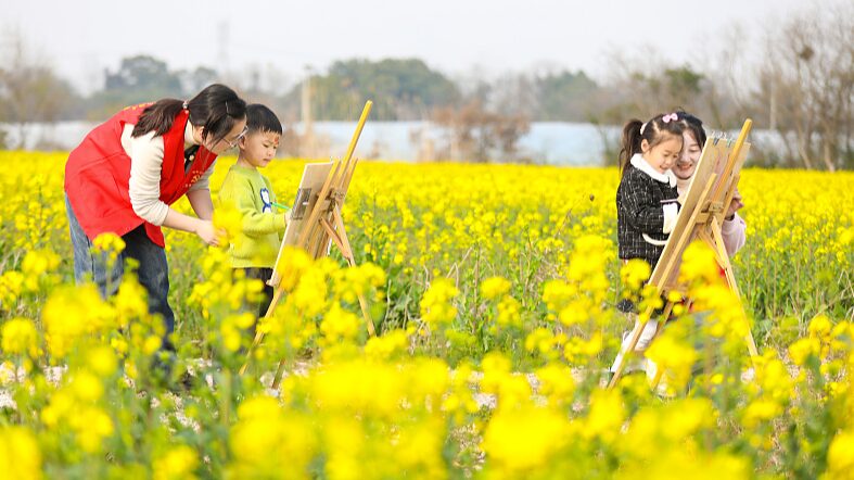 Golden_Seas_of_Rapeseed_Flowers_Herald_Spring_Across_the_Chinese_Mainland - Khabar Asia Golden Seas of Rapeseed Flowers Herald Spring Across the Chinese Mainland