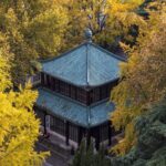 Golden Splendor: Nanjing's Xuanwu Lake Shimmers with Ginkgo Leaves