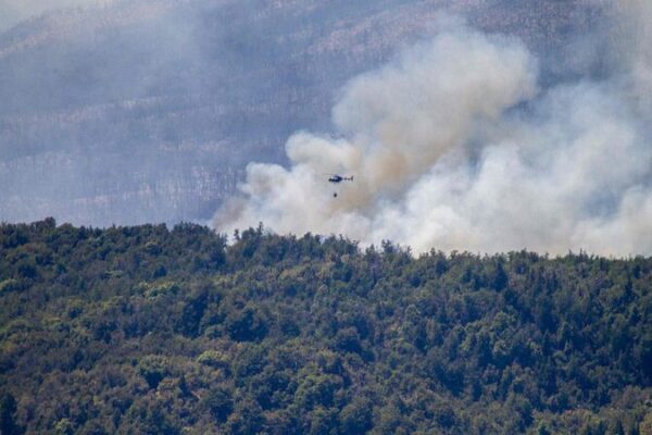Governor Claims Arson Caused Fire in Argentina’s UNESCO National Park Governor Claims Arson Caused Fire in Argentina's UNESCO National Park