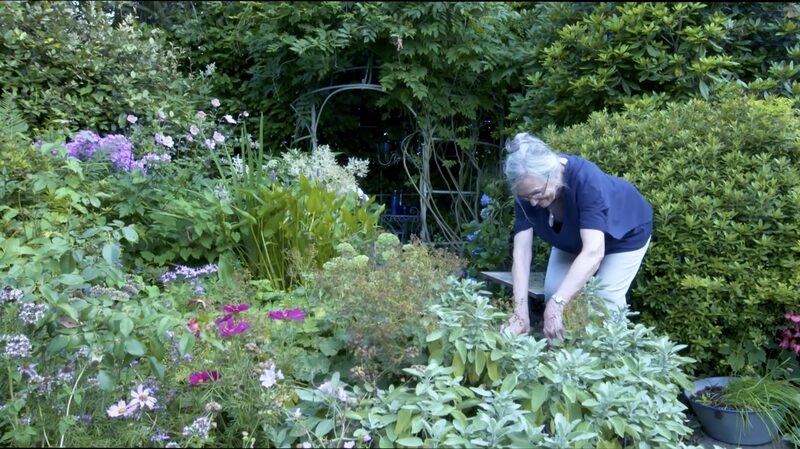 Granny_Simonnes_Art_Garden_A_Blossoming_Canvas_of_Inner_Peace_poster - Khabar Asia Granny Simonne's Art Garden: A Blossoming Canvas of Inner Peace video poster