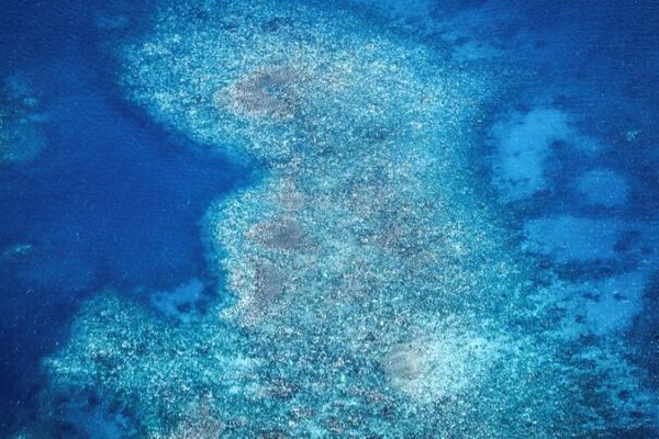 Great Barrier Reef Experiences Record Bleaching, Australian Authorities Report Great Barrier Reef Experiences Record Bleaching, Australian Authorities Report
