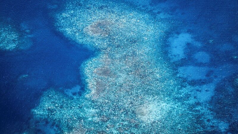 Great_Barrier_Reef_Experiences_Record_Bleaching_Australian_Authorities_Report - Khabar Asia Great Barrier Reef Experiences Record Bleaching, Australian Authorities Report