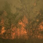 Greece_Raises_Wildfire_Alert_to_High_Risk_After_Dozens_of_Blazes_Erupt - Khabar Asia Greece Raises Wildfire Alert to High Risk After Dozens of Blazes Erupt