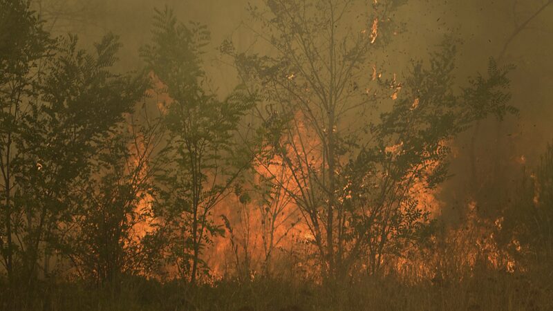 Greece_Raises_Wildfire_Alert_to_High_Risk_After_Dozens_of_Blazes_Erupt - Khabar Asia Greece Raises Wildfire Alert to High Risk After Dozens of Blazes Erupt