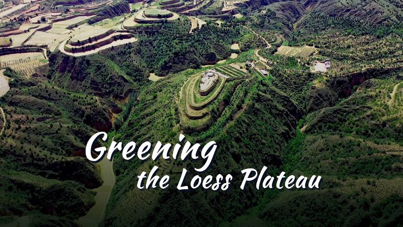 Greening_Chinas_Loess_Plateau_Apples_Turn_Barren_Land_into_Prosperity_poster - Khabar Asia Greening China's Loess Plateau: Apples Turn Barren Land into Prosperity video poster