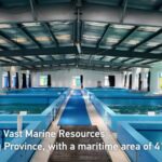 Guangdong_s_Offshore_Aquaculture_Drives_China_s_Agricultural_Modernization_poster - Khabar Asia Guangdong_s_Offshore_Aquaculture_Drives_China_s_Agricultural_Modernization video poster