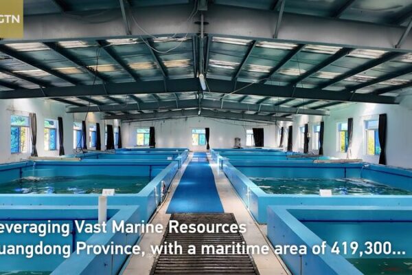 Guangdong’s Offshore Aquaculture Drives China’s Agricultural Modernization Guangdong_s_Offshore_Aquaculture_Drives_China_s_Agricultural_Modernization video poster