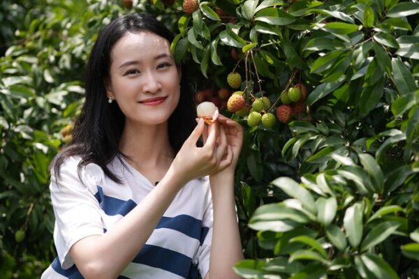 Guangzhou Lychee Farmers Leverage 5G Livestreams to Reach Global Markets Guangzhou Lychee Farmers Leverage 5G Livestreams to Reach Global Markets video poster