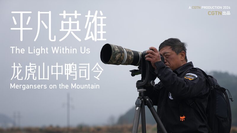 Guardian_of_the_Chinese_Merganser__Ranger_s_18_Year_Vigil_on_Longhu_Mountain_poster - Khabar Asia Guardian_of_the_Chinese_Merganser__Ranger_s_18_Year_Vigil_on_Longhu_Mountain video poster