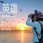 Guardians_of_the_Skies__Protecting_China_s__International_Airport_for_Birds_ video poster