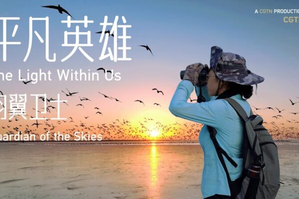 Guardians of the Skies: Protecting China’s “International Airport for Birds” Guardians_of_the_Skies__Protecting_China_s__International_Airport_for_Birds_ video poster