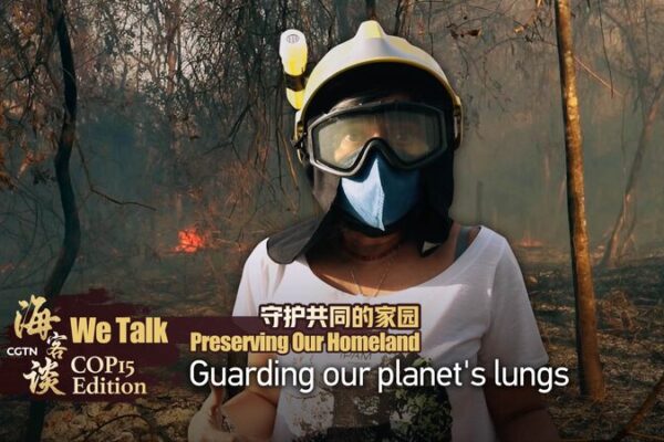 Guarding Earth's Lungs: Innovations to Protect the Amazon Rainforest video poster