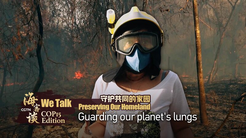 Guarding Earth's Lungs: Innovations to Protect the Amazon Rainforest video poster