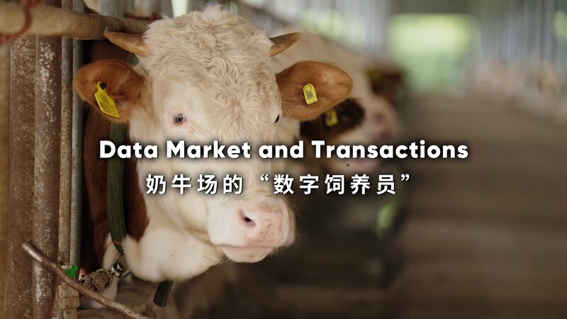 Guizhou_Farmers_Harness_Smart_Tags_to_Boost_Agriculture_and_Finance video poster