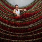 Guizhou_s_Bountiful_Chili_Harvest__A_Spicy_Tradition_Thrives