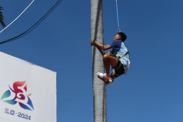 Hainan_Dominates_Coconut_Tree_Climbing_at_12th_National_Ethnic_Games video poster