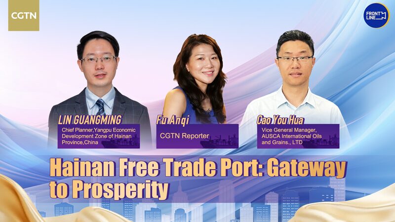 Hainan Free Trade Port: China's Gateway to Global Prosperity video poster