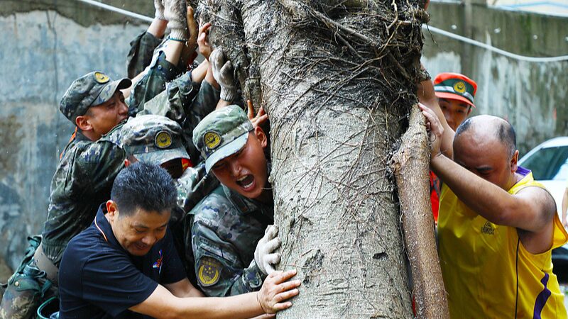 Hainan_Province_Rebuilds_After_Super_Typhoon_Yagi_s_Devastation