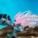 Hainan_s_Underwater_Forest__Reviving_Coral_Reefs_and_Wildlife video poster