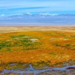 Haizi_Grassland__Gansu_s_Golden_Autumn_Wonderland