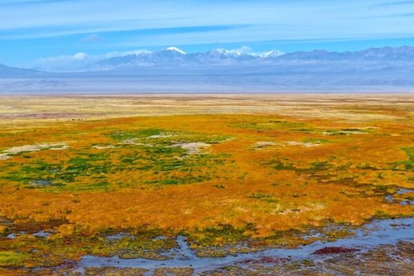 Haizi Grassland: Gansu’s Golden Autumn Wonderland Haizi_Grassland__Gansu_s_Golden_Autumn_Wonderland