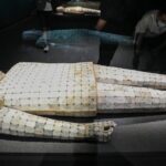 Han Dynasty Exhibition in Hungary Celebrates 75 Years of Sino-Hungarian Diplomacy