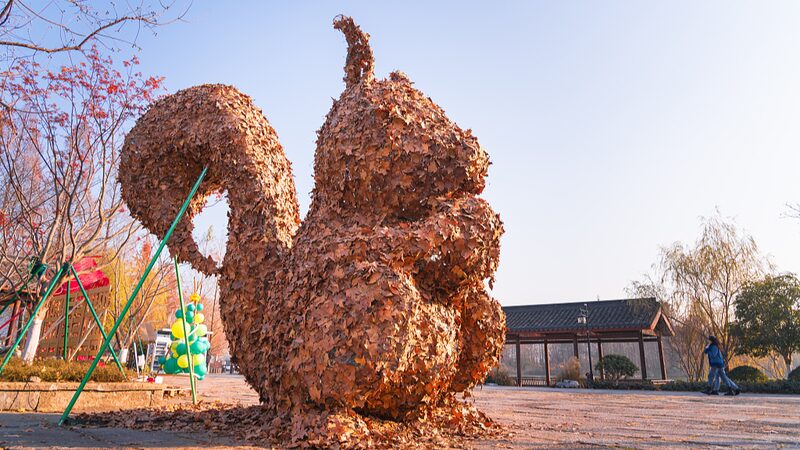 Hangzhou_Students_Transform_Fallen_Leaves_into_Stunning_Sculptural_Artworks - Khabar Asia Hangzhou Students Transform Fallen Leaves into Stunning Sculptural Artworks