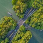 Hangzhou_s_Yanggongdi_Causeway_Blossoms_into_a_Green_Paradise