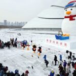 Harbin Unveils Giant 'Truant Penguin' Snow Sculpture as New Winter Attraction