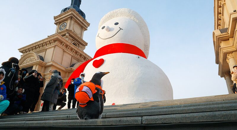 Harbins_Giant_Snowman_Returns_A_Winter_Marvel_in_Northeast_China - Khabar Asia Harbin's Giant Snowman Returns: A Winter Marvel in Northeast China