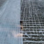 Harbin's Ice City: How a Frozen River Transforms into a Winter Wonderland