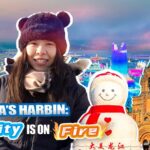 Harbin's Ice and Snow Festival: A Winter Wonderland in Northeast China video poster