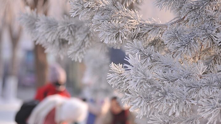 Harbins_Winter_Wonderland_Captivates_Visitors_with_Stunning_Scenery - Khabar Asia Harbin's Winter Wonderland Captivates Visitors with Stunning Scenery