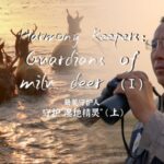 Harmony_Keepers__Guardians_of_China_s_Milu_Deer video poster
