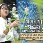 Harmony_in_Colors_Vietnamese_Volunteer_Embraces_Chinese_Plant-Based_Tie-Dye_poster - Khabar Asia Harmony in Colors: Vietnamese Volunteer Embraces Chinese Plant-Based Tie-Dye video poster