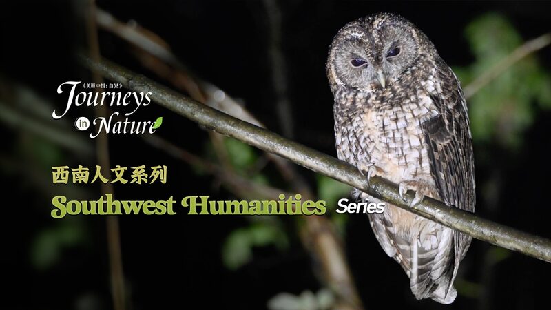 Harmony_with_Nature_Sichuan_Residents_and_Wildlife_Coexistence_Explored - Khabar Asia Harmony with Nature: Sichuan Residents and Wildlife Coexistence Explored