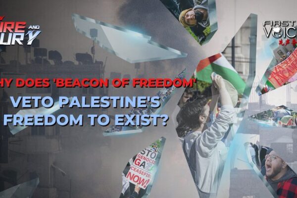 Harvard Professor Stephen Walt Criticizes US Stance on Palestinian Issue Harvard Professor Stephen Walt Criticizes US Stance on Palestinian Issue