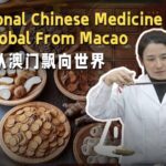 Hazel_Wong_s_Vision__Globalizing_Traditional_Chinese_Medicine_from_Macao video poster