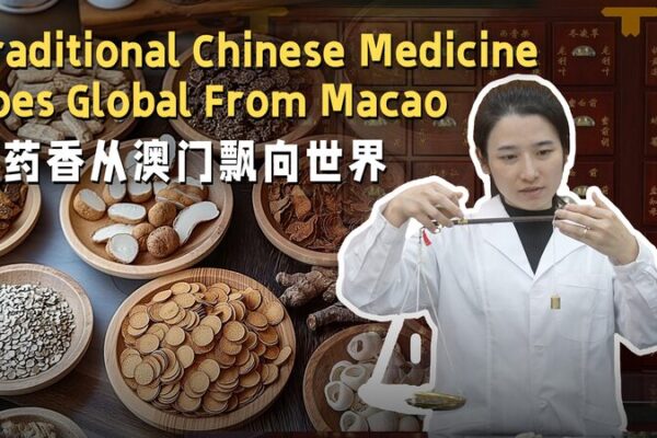 Hazel Wong’s Vision: Globalizing Traditional Chinese Medicine from Macao Hazel_Wong_s_Vision__Globalizing_Traditional_Chinese_Medicine_from_Macao video poster