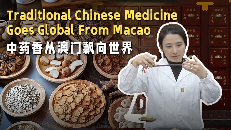 Hazel_Wong_s_Vision__Globalizing_Traditional_Chinese_Medicine_from_Macao_poster - Khabar Asia Hazel_Wong_s_Vision__Globalizing_Traditional_Chinese_Medicine_from_Macao video poster
