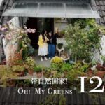 Healing through Horticulture: Tianyi's Porcelain Garden in Guilin video poster