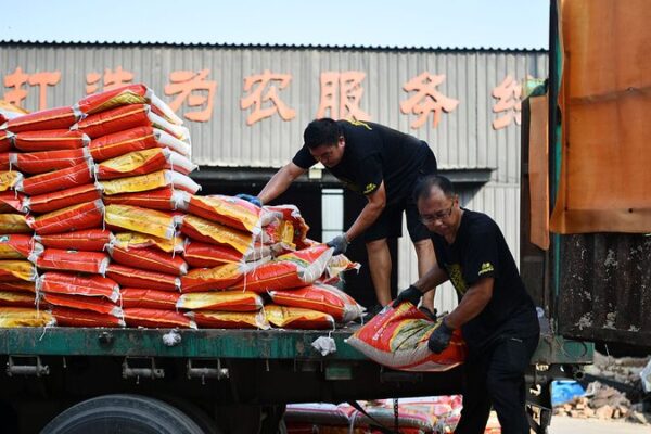 Heartfelt Donations Pour into Flood-Stricken Zhuozhou in Hebei Province Heartfelt Donations Pour into Flood-Stricken Zhuozhou in Hebei Province video poster