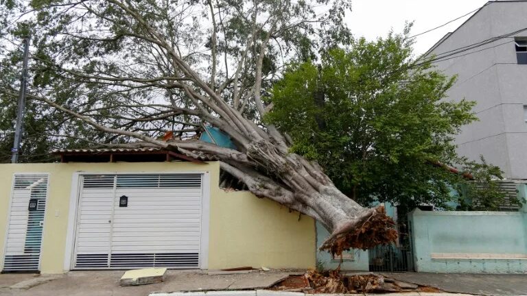 Heavy_Rains_Hit_Brazil_After_Drought__Leaving_At_Least_8_Dead - Khabar Asia Heavy_Rains_Hit_Brazil_After_Drought__Leaving_At_Least_8_Dead