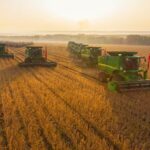 Heilongjiang Farmers Embrace Soybean Cultivation Boom