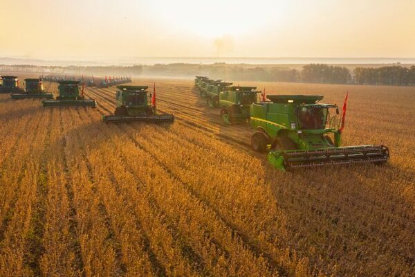 Heilongjiang Farmers Embrace Soybean Cultivation Boom Heilongjiang Farmers Embrace Soybean Cultivation Boom
