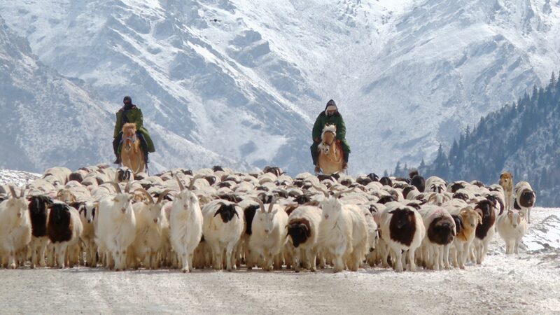Herders_Arrive_at_Spring_Pastures_in_Xinjiangs_Bayanbulak_Grassland_poster - Khabar Asia Herders Arrive at Spring Pastures in Xinjiang's Bayanbulak Grassland video poster