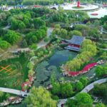 Heze City Celebrates the 33rd International Peony Culture and Tourism Festival video poster